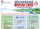 Sécheresse 54 - CRISE sur l'intégralité du département
