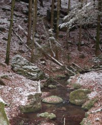 Escapades lorraines : La Vallée du Madon